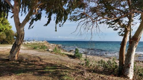 Apartamento Dolphin 2