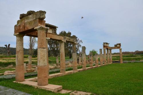 Modular Bungalows Vravrona Artemis Greece