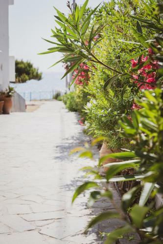 Euphoria Blue Studio Apartments