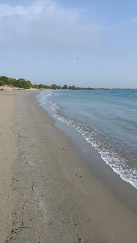 Apartamento Dolphin 1