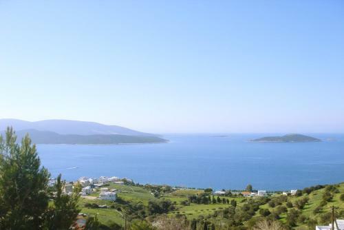 Villa Marmari View