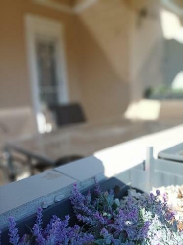 Apartamento Villa Constantina - ???? ???????????