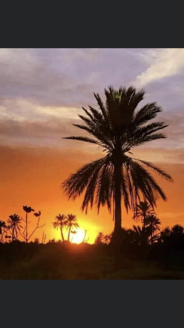 Hotel Djerba Orient