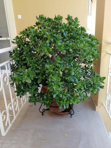 Apartamento Mel