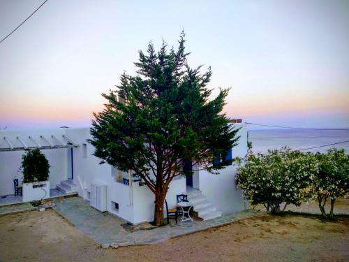 Apartamento Litus Studios
