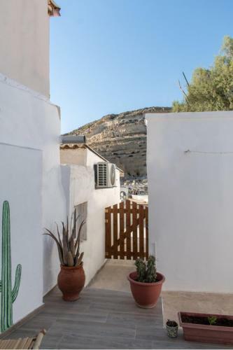 Apartamento Cactus Room