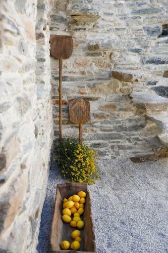 Onos - Eco Living Experience