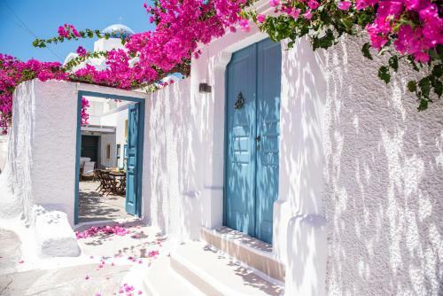 The Bougainvillea