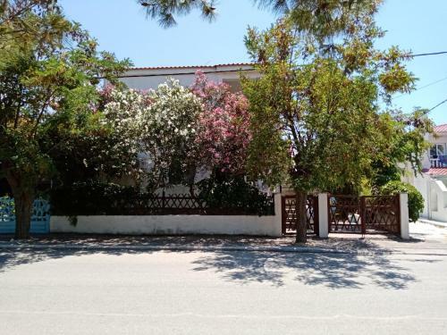 Apartamento Irene House