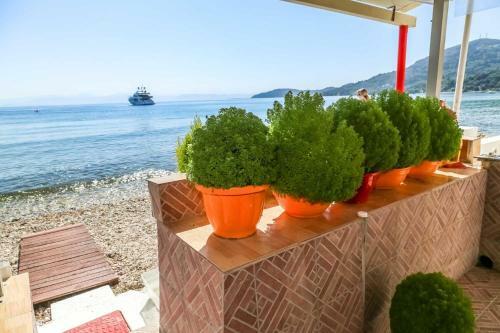 Elena Beach Apartment