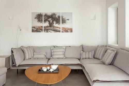 The Mykonist Exclusive Villa Elia Beach