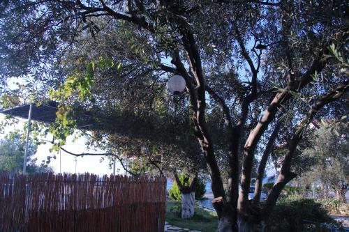 Apart Hotel Ege
