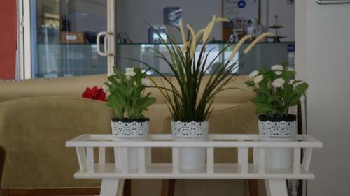 Hotel Marine