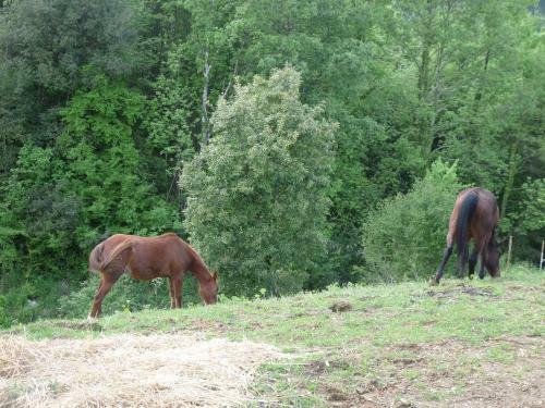 Agroturismo Difesa Del Principe