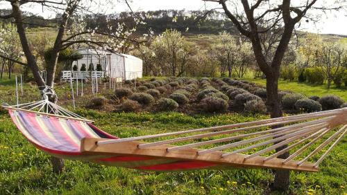 Lavander Garden Camping