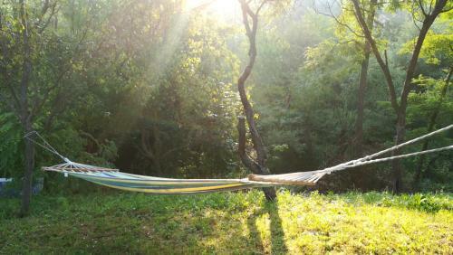 Lavander Garden Camping