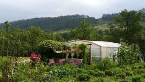 Lavander Garden Camping