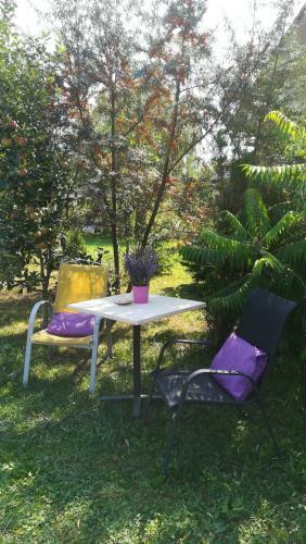 Lavander Garden Camping