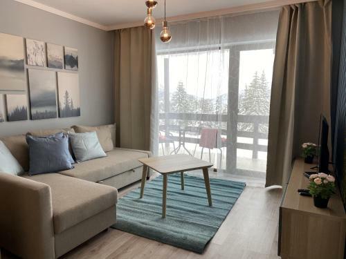 Bright Apartment With Balcony Mountain View
