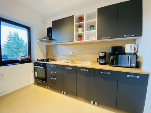 Bright Apartment With Balcony Mountain View