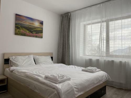 Bright Apartment With Balcony Mountain View