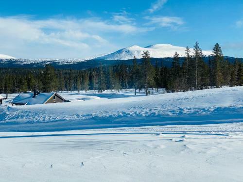 Hytte Trysil Spa