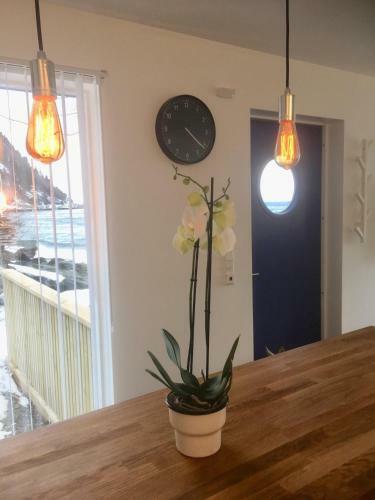 Apartamento Seaside Rentals