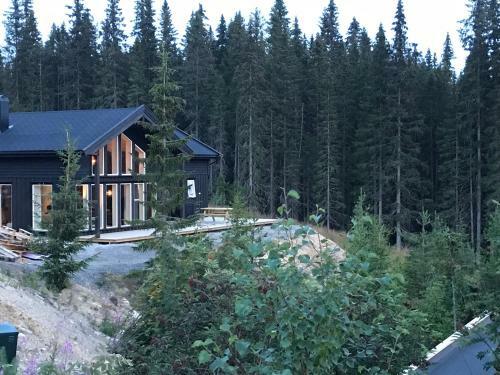 Lillebj�rn