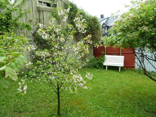 Red Old House Troms� Apartment