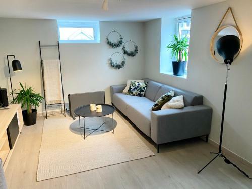Two Bedroom Apartment Near The City Centre.