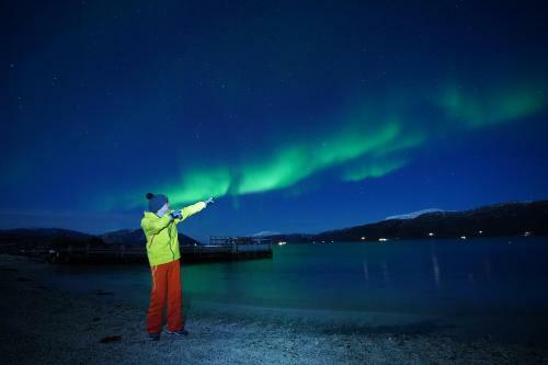 Arctic Rooms Rektor