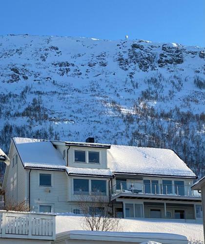 Marthas Apartments - Arctic Light