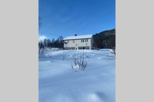 Wilderness House