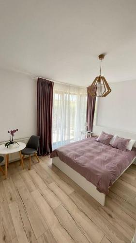 Hostal Pensiunea Roa
