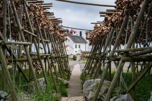 Lofoten Fyr