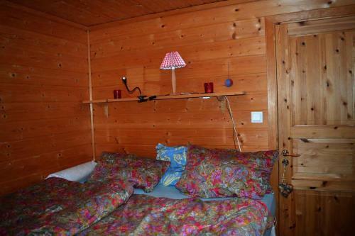Mountain Cabin