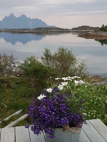 Lodge Bjerget