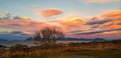 Pilan Lodge Lofoten