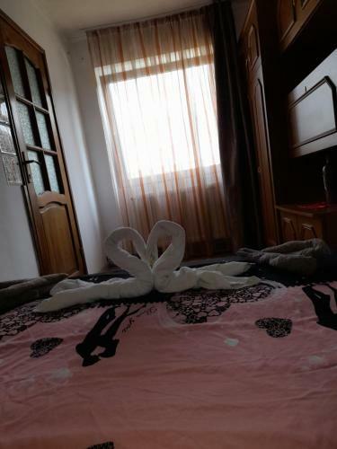 Apartament Sighi?oara
