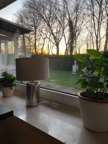 Bed & Breakfast Pension-seegarten