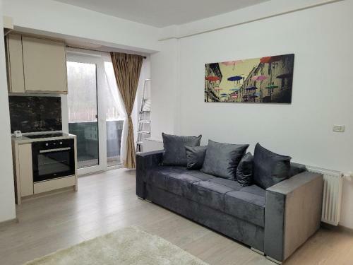 Balada Apartment Suceava