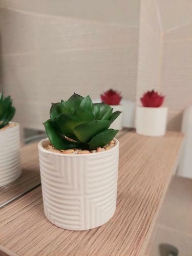 Apartamento Domino Studio