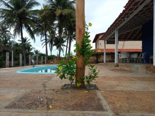 Alto Mar Do Coqueiro