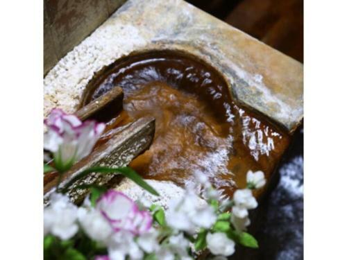 Hotel Ikariya Ryokan - Vacation Stay 82818