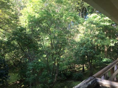Apartamento Trust Maison Sengokuhara - Vacation Stay 32251v
