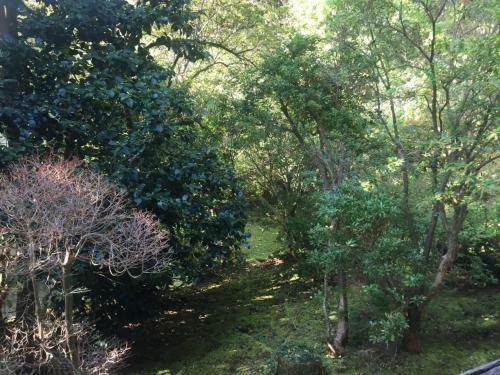 Apartamento Trust Maison Sengokuhara - Vacation Stay 32251v