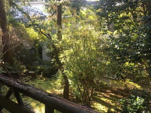 Apartamento Trust Maison Sengokuhara - Vacation Stay 32251v