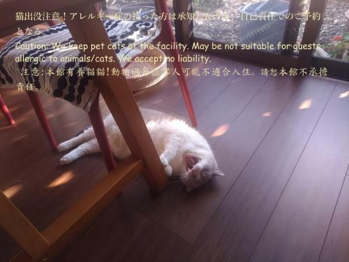 Hostal Machiya Koza