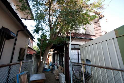 Hostal Komae Art House