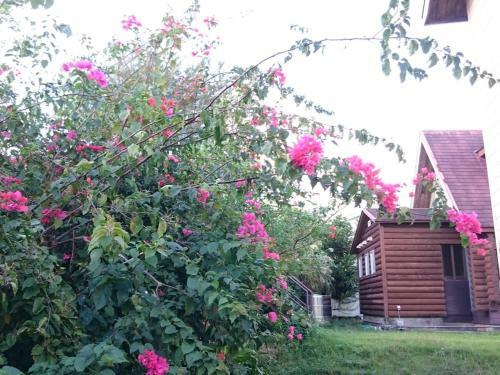 Villa Garden Beach House